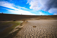 4.5 ayda resmen kurudu: Yüzde 80'den yüzde 4'e düştü