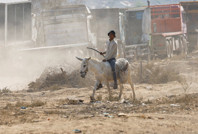 UNRWA: Gazze'de domatesin kilosu 15 dolar