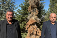 CHP'li Gürer: Acil mücadele şart, yoksa Toroslar'da orman kalmayacak