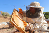 Köye döndü, işinin patronu oldu