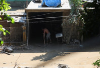 Sel felaketinde ölü sayısı artıyor