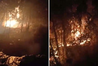 Orman yangını çıkardıkları suçlamasıyla yargılanan 5 kişiye tahliye