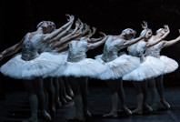 'Kuğu Gölü' Balesi AKM'de prömiyer yapacak