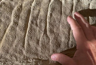 66 milyon yıllık 'deri fosili' sandılar, gerçek başka çıktı