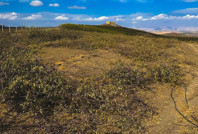 'Artık para etmiyor' diyerek sökmeye başladılar