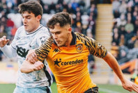 Hull City, transfer yasağına rağmen seriye bağladı