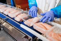 Tavuk ürünleri ihracatı durduruluyor