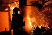 Prestijli dergiden kritik rapor: Her dakika bir can alıyor!