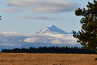 Kars'ta kış masalı başladı