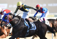 87. Cumhurbaşkanlığı Koşusu'nda Grande Flusso zaferi: Ayhan Kurşun tarihe geçti