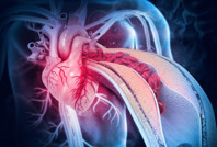 Tıp dünyasında çığır açacak keşif: Kalp kendi kendini onarabilir