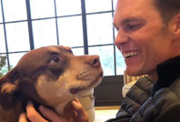 Futbol efsanesi ölen köpeğini klonlattı