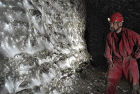 Dünyanın en büyük örümcek ağı bulundu: İçinden 110 binden fazla örümcek çıktı