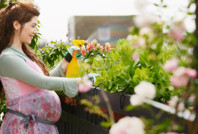 Hamilelere böcek ilacı uyarısı