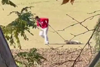 Sokak köpeğini iple sürüklemişti: Adli kontrolle serbest