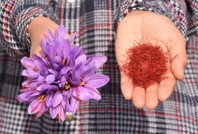 Eşi beyin tümörüyle savaşırken bulamadı, artık kendi üretiyor