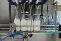 Toplanan inek sütü miktarı eylülde azaldı