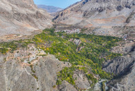 İklim değişti mahsul şaşırttı: Diyarbakır'da mikroklima mucizesi