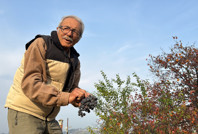 86 yaşında, 54 meyve çeşit meyveyi Türkiye'nin dört bir yanına satıyor