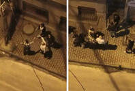 İstanbul’da gürültü kavgası: İki aile birbirine girdi