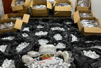 İzmir'de zehir deposuna baskın