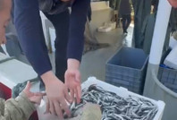 Fiyatı görünce çıldırıp vatandaşa bedava dağıttılar