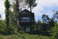 Hayalleri gerçek oldu: Çöpten ağaçkondu yaptılar