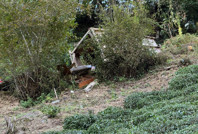 Serender devrildi: Ölü ve yaralılar var