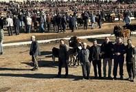 Dert yandı: Fiyatı altın gibi, alınmıyor