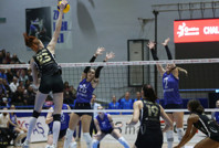 VakıfBank, Kuzeyboru’yu set vermeden geçti: 6'da 6 yaptı
