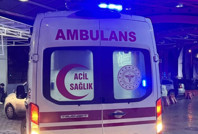 Otomobil sürüye çarptı, 8 koyun öldü