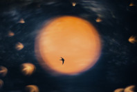 2025 Doğa Fotoğrafçılığı Yarışması'nın kazananları belli oldu