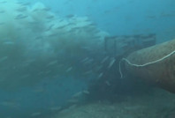 Boğazın dibinde korkunç görüntü: Pis su böyle akıyor!