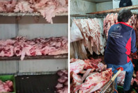 Çanakkale'de mide bulandıran görüntüler