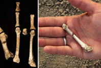 3.4 milyon yıllık ayak fosilinin gizemli sahibi bulundu