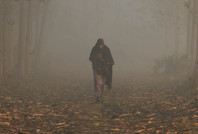 Kirli hava egzersizin faydalarını siliyor