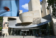 Sinemanın kalbinde tahtakurusu paniği: Bir aylığına kapatılıyor