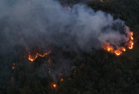Artvin’de örtü yangını
