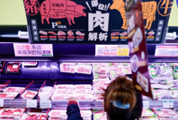 İspanya'da domuz gribi paniği: Askerler gönderildi