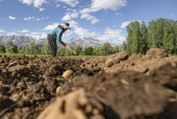 Tarımda 24 yılın dibi görüldü