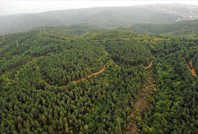 Arsa alma hayalleri kâbusa döndü: 40 milyon TL dolandırıldılar