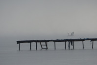 Çanakkale Boğazı kapatıldı