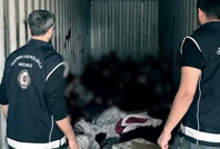 Limandaki konteynerden göçmenler çıktı