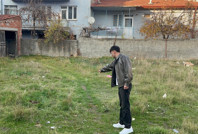 Kedi katliamı: İşkence yaparak öldürdüler