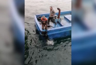 Denize düşen köpeği balıkçılar kurtardı