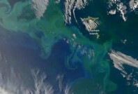 Uzaydan bile fark ediliyor... Okyanuslarda tehlikeli gelişme