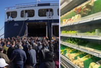 Midilli Adası'nda şap krizi: Marketler boşaldı