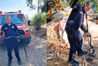 Hatay'da müstakil evde korku dolu anlar: 2 metrelik yılan yakalandı