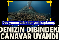Denizin dibindeki canavar uyandı. Dev yumurtalar her yeri kaplamış