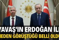 Mansur Yavaş'ın Erdoğan ile neden görüştüğü belli oldu